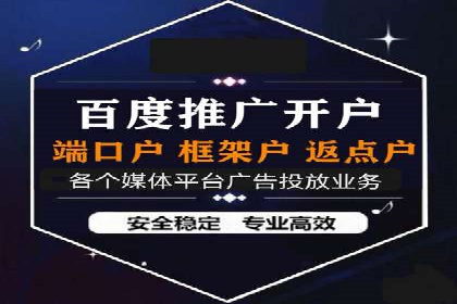 百度竞价推广在电商领域的赚钱案例